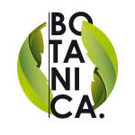 Gambar D'BOTANICA Posisi DIGITAL MARKETING
