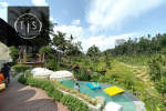 Gambar TIS Cafe Ubud Posisi Host/Hostess