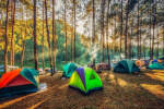 Gambar Cozyland Camping Ground Posisi OB/Cleaning Service