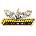 Gambar Pegasus Karting Posisi Supervisor Outlet