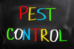 Gambar Sentrifugal pest control Posisi Admin