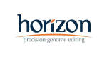 Gambar Universitas Horizon Indonesia Posisi Program Head FICT (S1 Informatika, S1 Sistem Informasi)