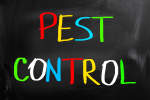 Gambar Safe & Care Pest Control Posisi Teknisi