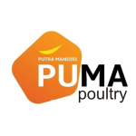 Gambar Puma Poultry Posisi Kepala Toko