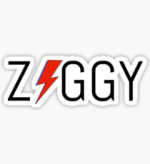 Gambar Ziggy Autentic Posisi Admin E-commerce