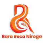 Gambar Bara Reca Niroga Posisi Online Sales & Marketing