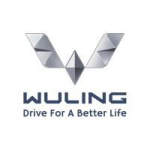 Gambar Wuling Posisi Sales Executive