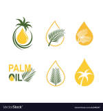 Gambar Palm oil Plantation Posisi Enginneering Procurement