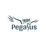 Gambar Pegasus Eco Karting Posisi HR & GA Supervisor