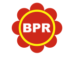 Gambar BPR Aruna Posisi Internal Audit