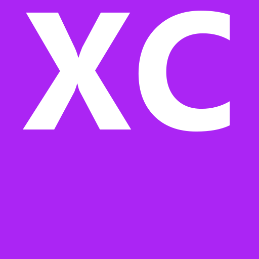Gambar XCO PTE LTD Posisi Operational Assistant